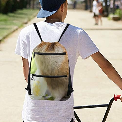 Sırt çantası Sevimli Hamster Üzerinde Bir Taş Çanta İçin Kadın Spor Salonu Çuval İpli sırt çantası Çanta Hafif fermuarlı cebi