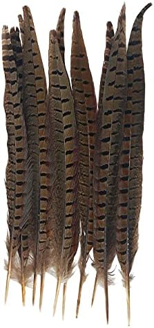 10 adet 12-14 inç Uzun Doğal Sülün Kuyruk Tüyleri El Sanatları DIY Şapkalar Parti Süslemeleri için (Doğal)