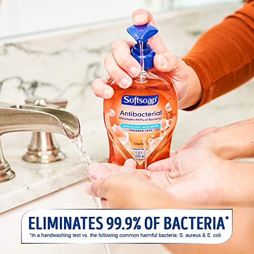 Softsoap Antibakteriyel Sıvı El Sabunu, Gevrek Temiz-11.25 Sıvı Ons (6 Paket)