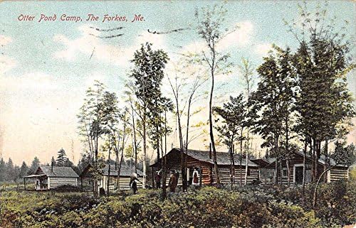 Forkes Maine Su Samuru Göleti Kamp Kabinleri Sahne Antik Kartpostal K14441