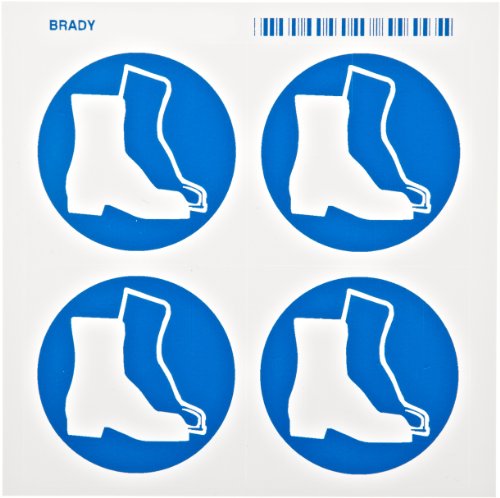 Brady 58563 Basınca Duyarlı Vinil Piktogram Etiketlerini Tanıma Hakkı , Beyaz Üzerine Mavi, 2 1/4 Yükseklik x 2 1/4 Genişlik,