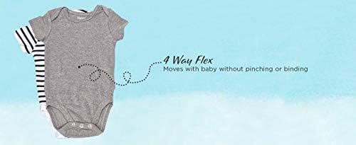 Hanes Bebek-Erkek Ultimate Bebek Flexy 5 Paket Kısa Kollu Bodysuits