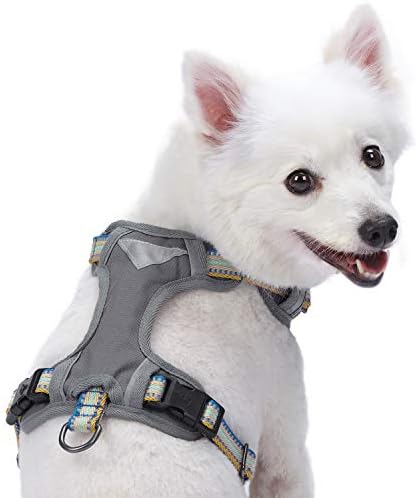 Blueberry Pet 10 + Renk Yansıtıcı Yastıklı Köpek Koşum Takımı, 3M Yansıtıcı Seçenekler Mevcut