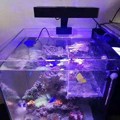 MEIGONGJU LED Nano akvaryum ışığı, 30 W Tuzlu su aydınlatma ile Dokunmatik Kontrol ve Uzatılabilir Parantez için Mercan Resif