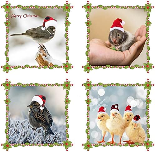 JOTFA 8 Pcs Tavuk Noel Şapka, 2 Boyutları Küçük Hayvanlar Noel Kostüm ile Ayarlanabilir Çene Kayışı için Tavuk Tavuk Horoz