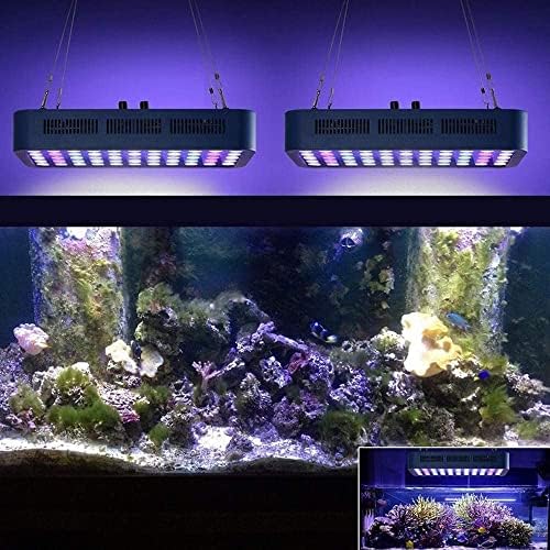 NUOBUNG LED akvaryum ışık tam spektrum balık tankı ışık 65 W çift dimmer tuzlu tatlısu balık mercan resif için uygun
