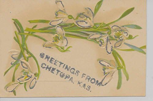 Chetopa Kansas Çiçeklerden selamlar parıltılı antika pc Z20846